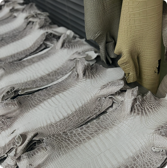 Crocodile leather material for custom belts and watch straps